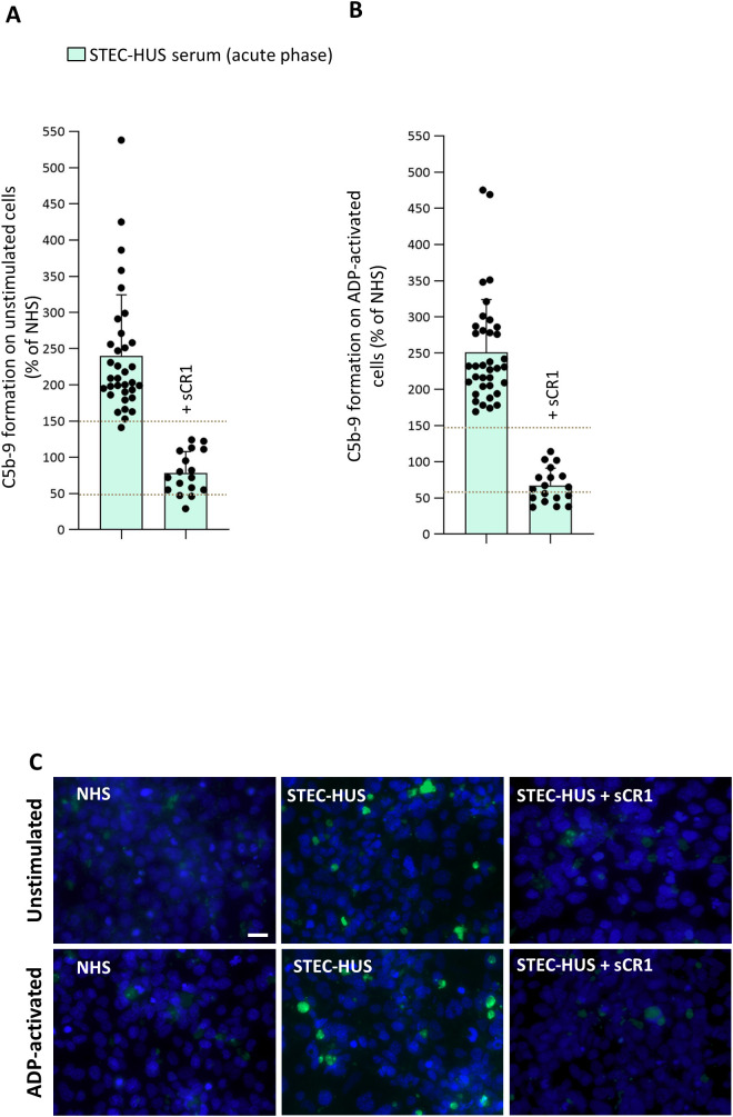 Figure 3