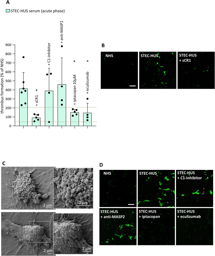 Figure 5