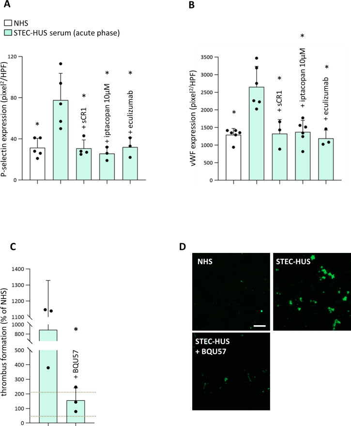 Figure 6