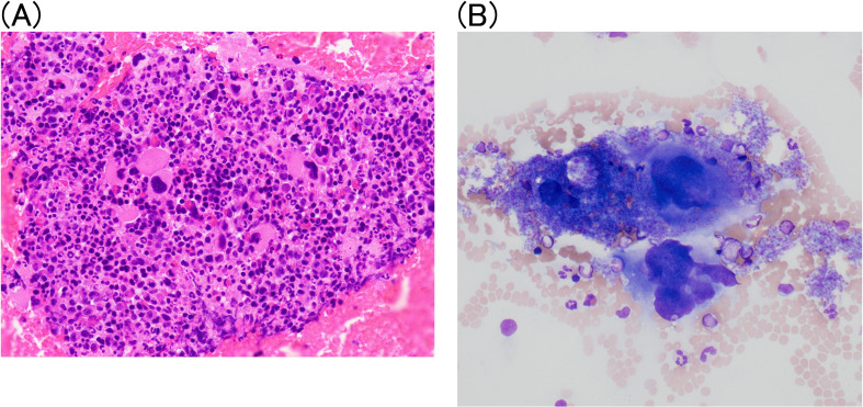 Figure 2