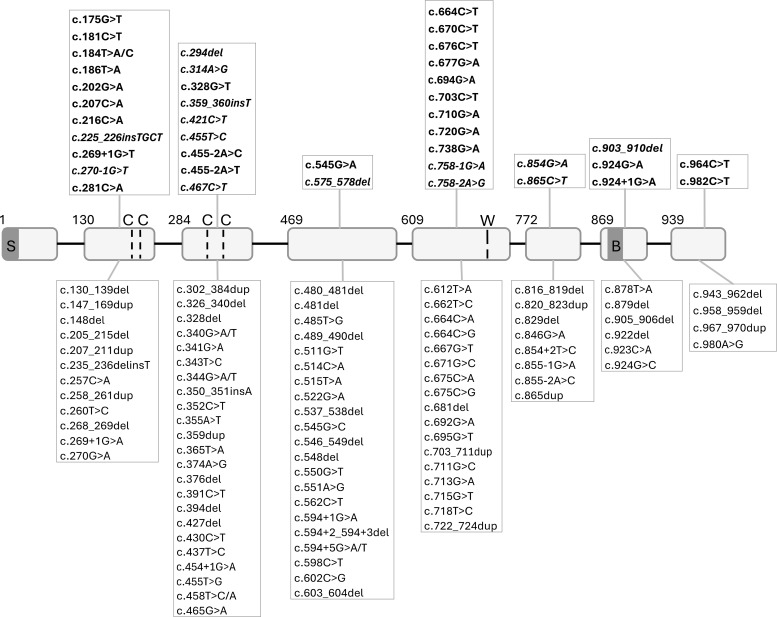 Figure 2
