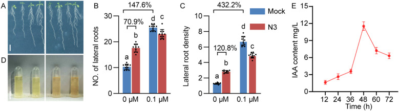 Figure 2