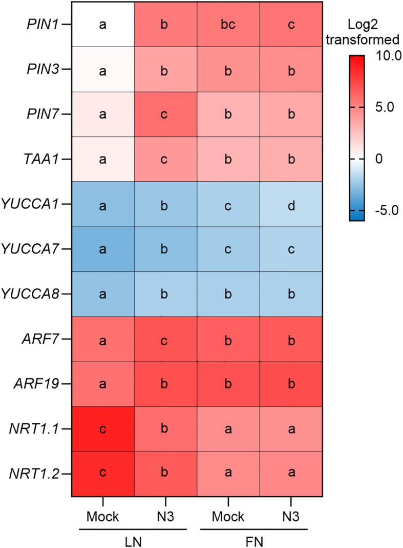 Figure 3