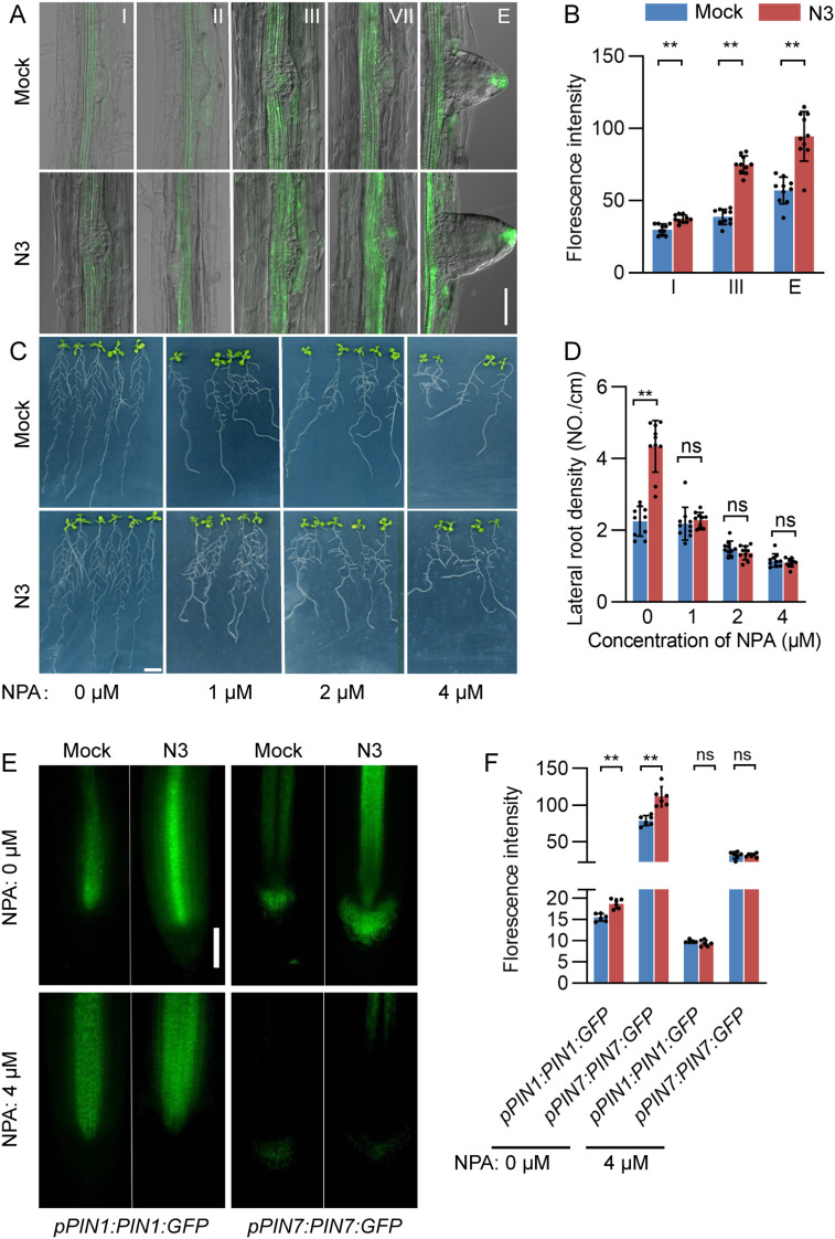Figure 4