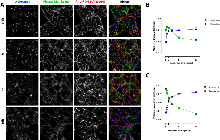 Figure 4