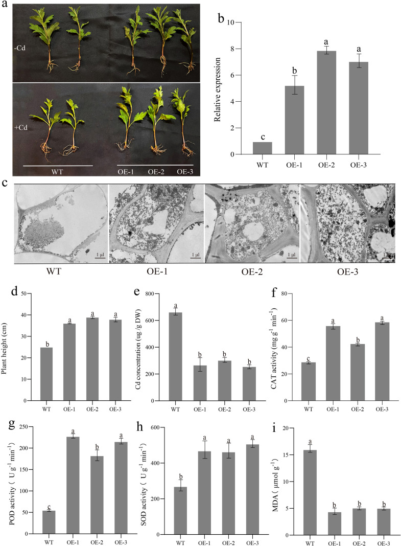 Figure 4