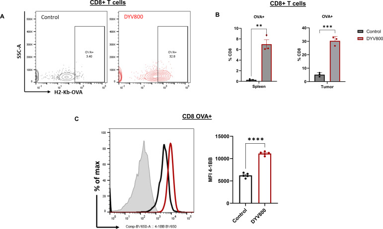 Figure 6