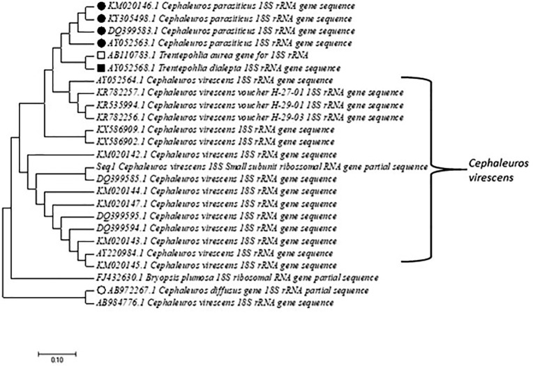 Figure 2