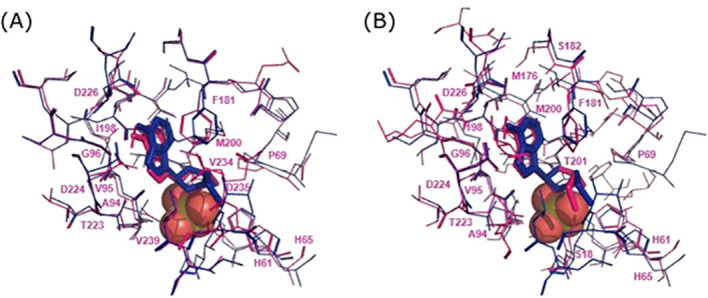 Figure 1