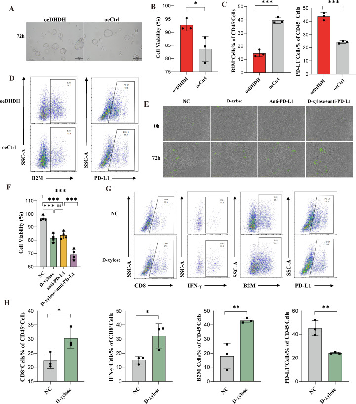 Figure 6