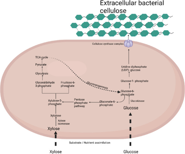 Figure 6