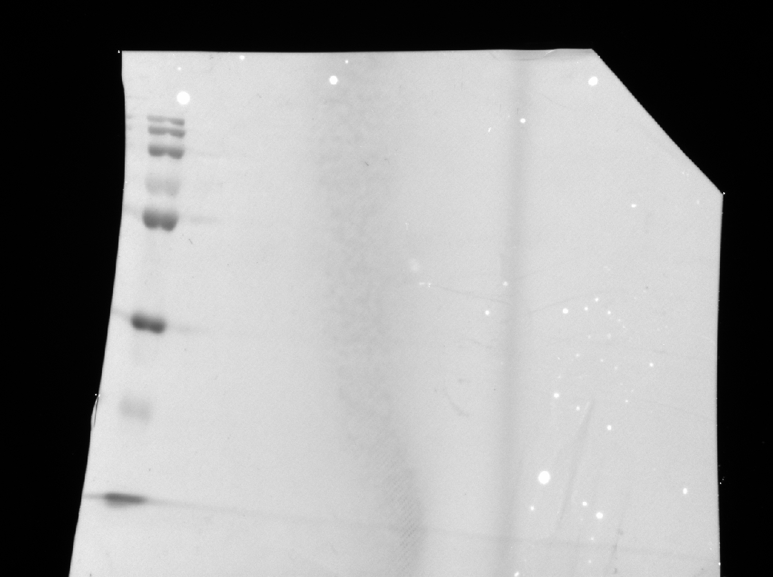 Figure 20