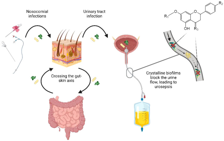 Figure 1