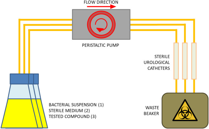 Figure 3