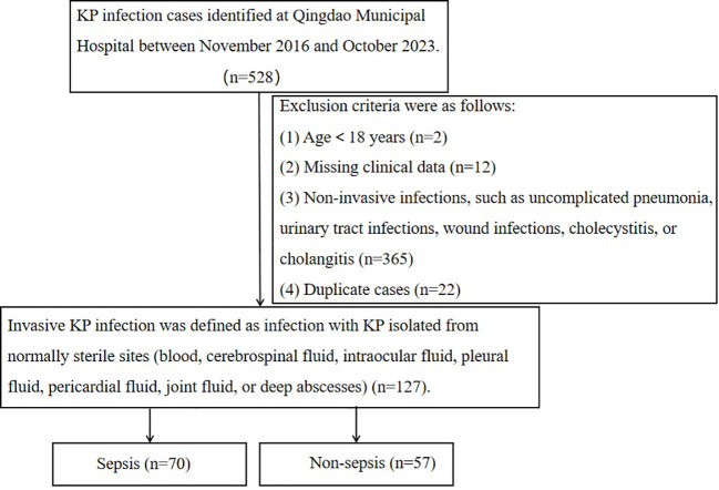 Figure 1