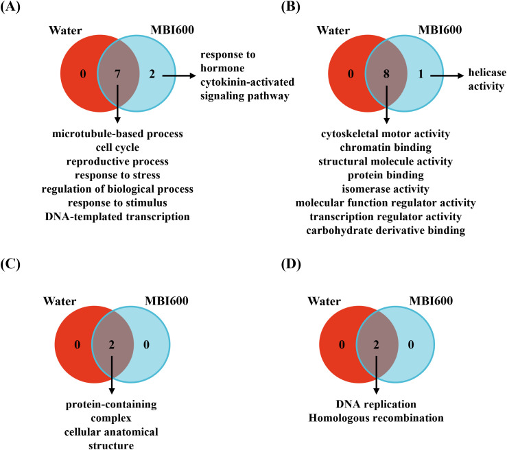 Figure 5