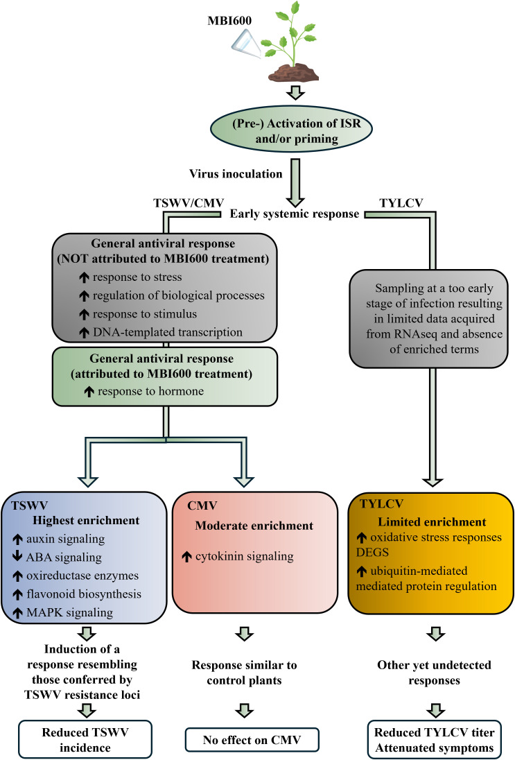 Figure 6