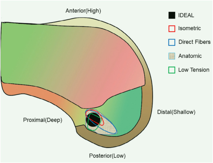 Figure 2
