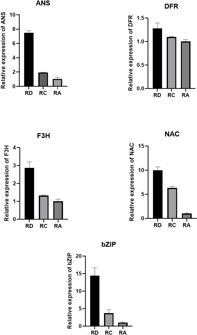 Figure 1