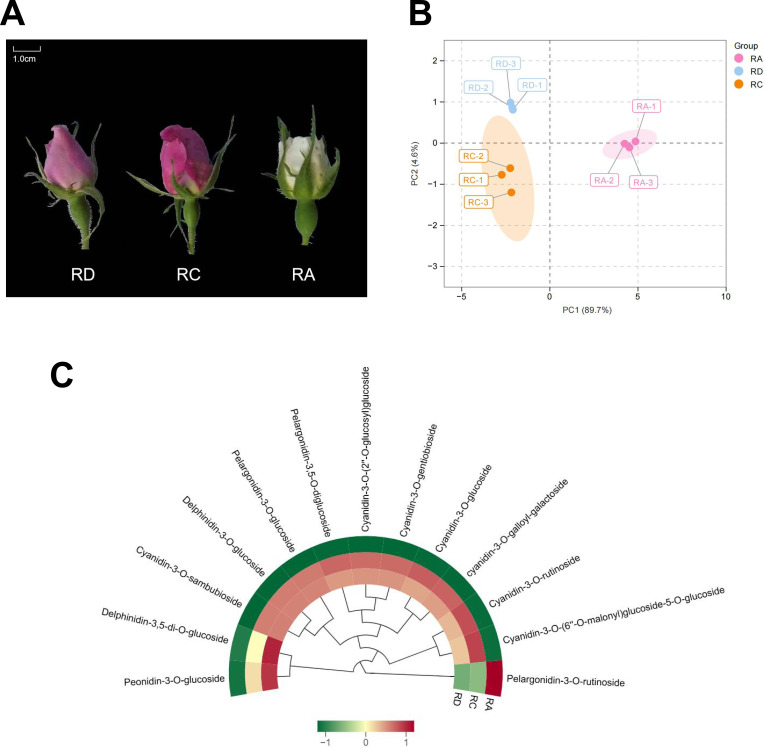 Figure 2