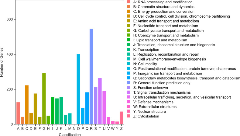 Figure 4
