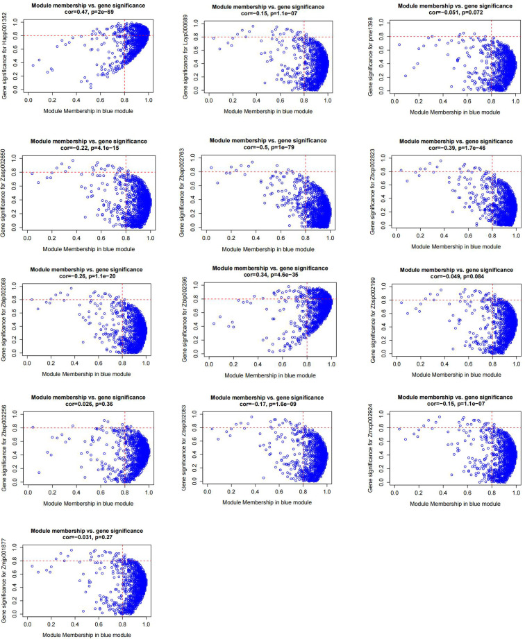 Figure 6