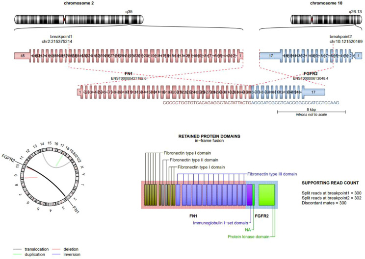 Figure 3