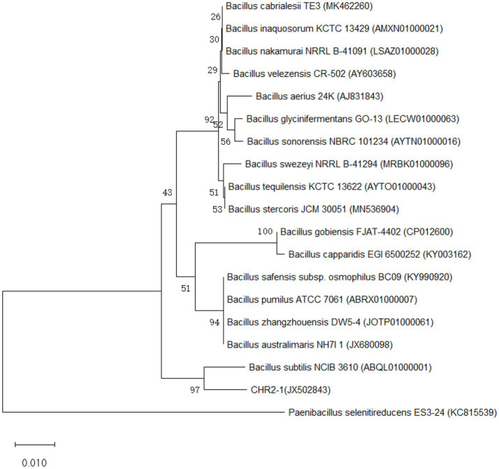 Figure 3