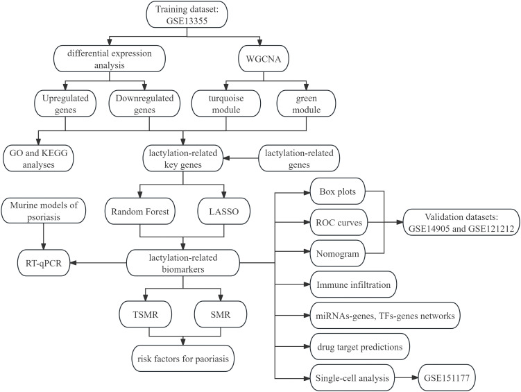 Figure 1