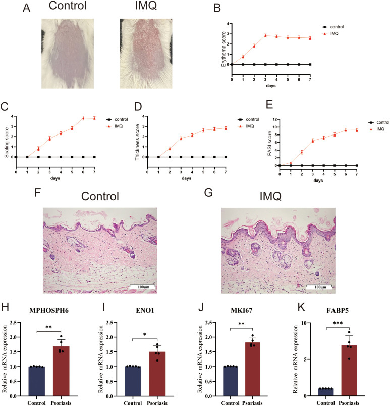 Figure 8