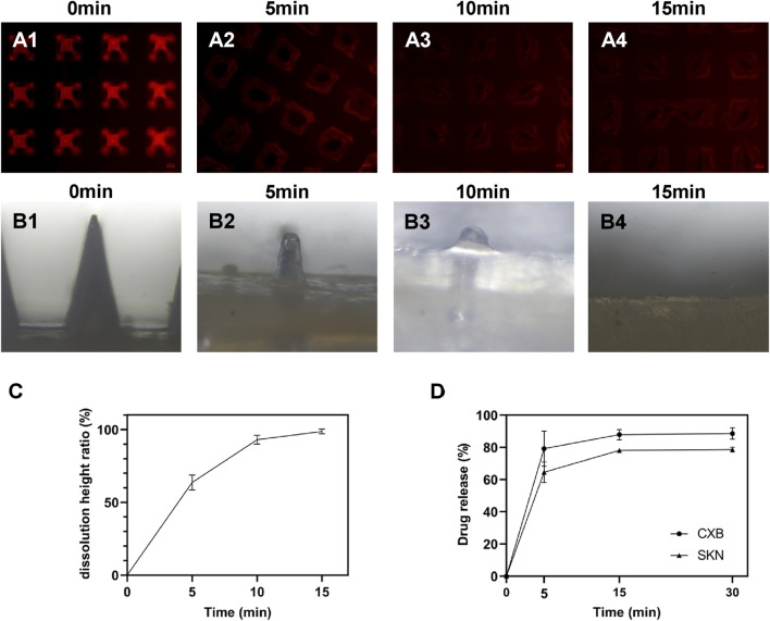 FIGURE 3