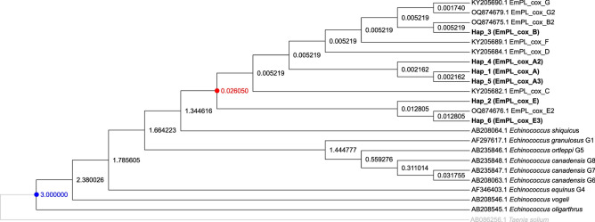 Figure 6
