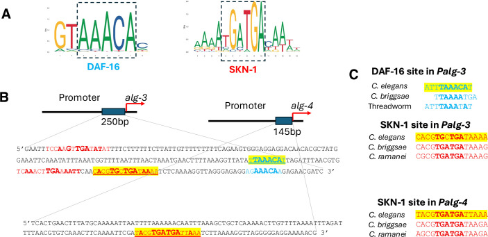 Figure 13