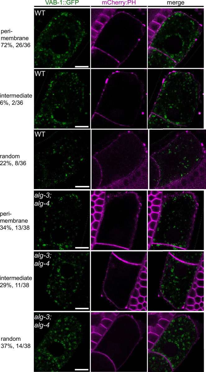 Figure 14