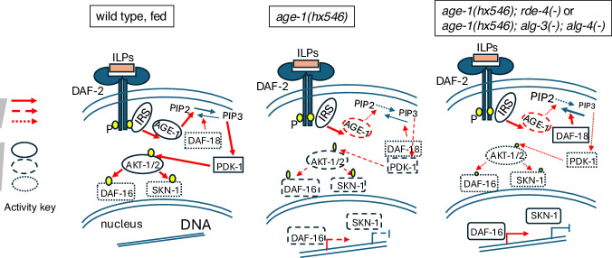 Figure 15