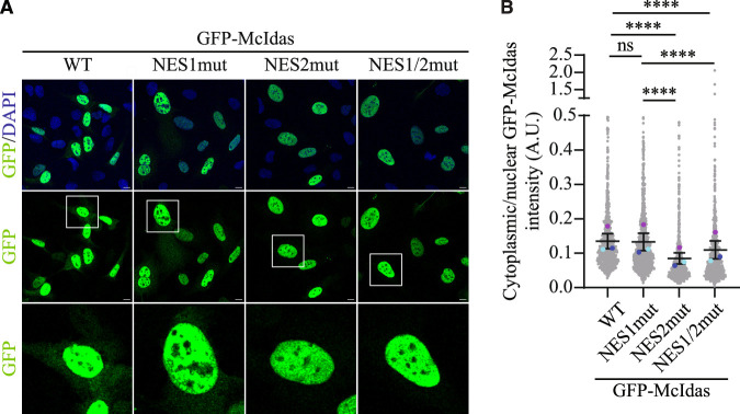 Figure 11