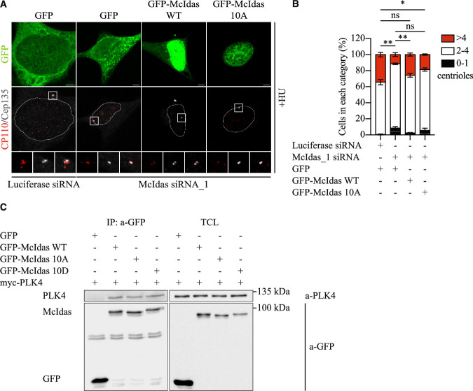 Figure 15