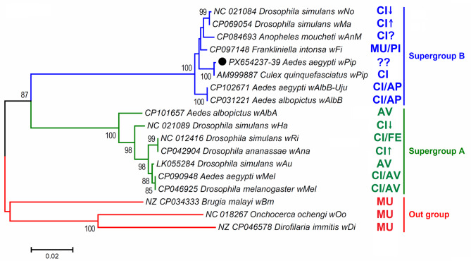 Figure 7