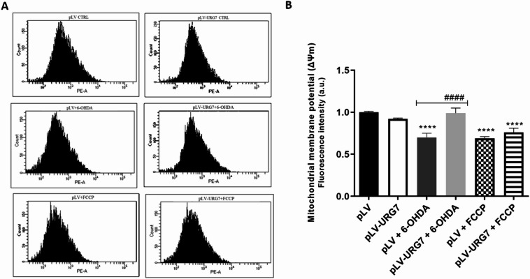 Figure 7