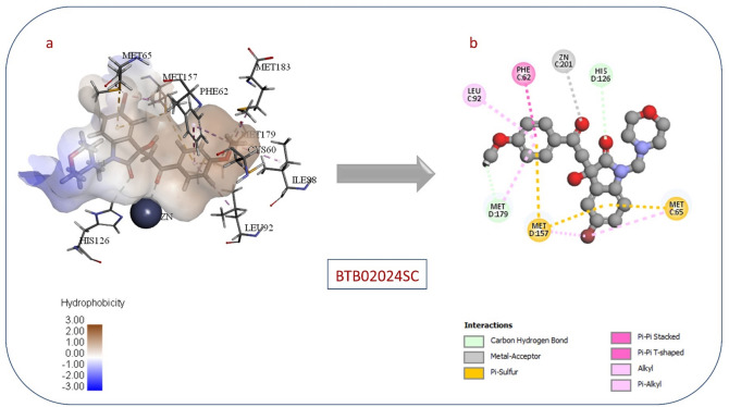 Figure 24