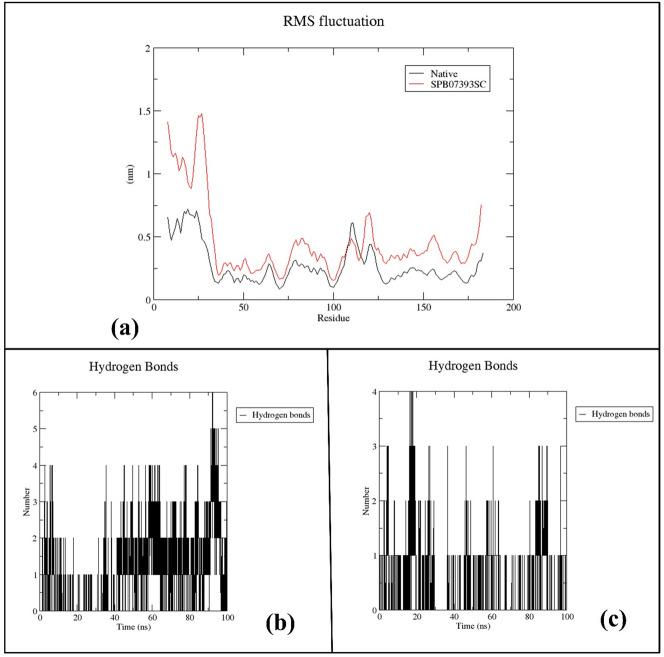 Figure 28