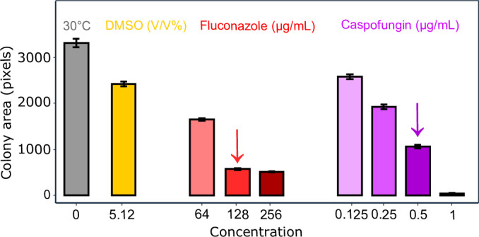 Figure 10
