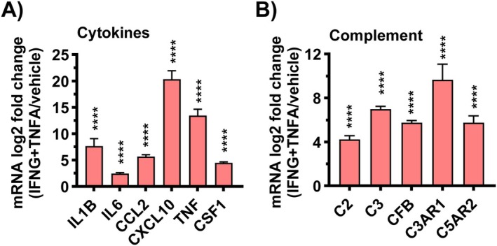 FIGURE 11