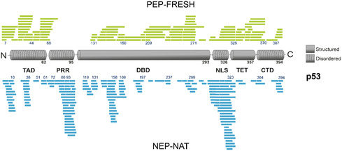 FIGURE 3