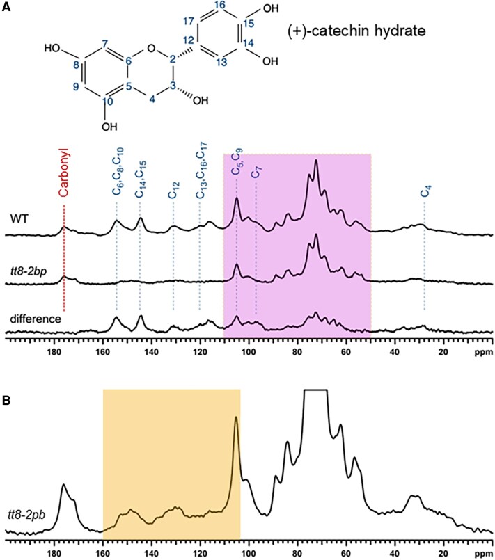 Fig. 10