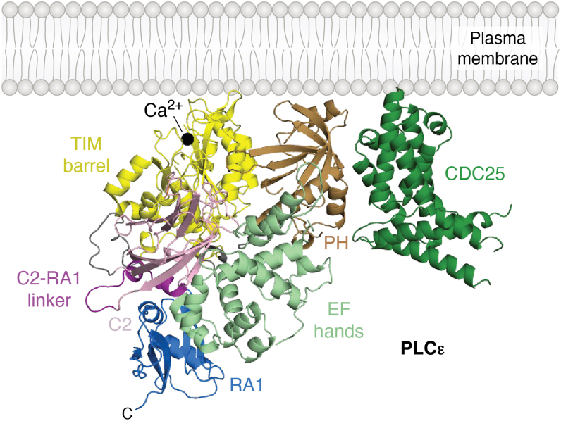 Figure 2