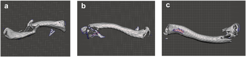 Figure 8
