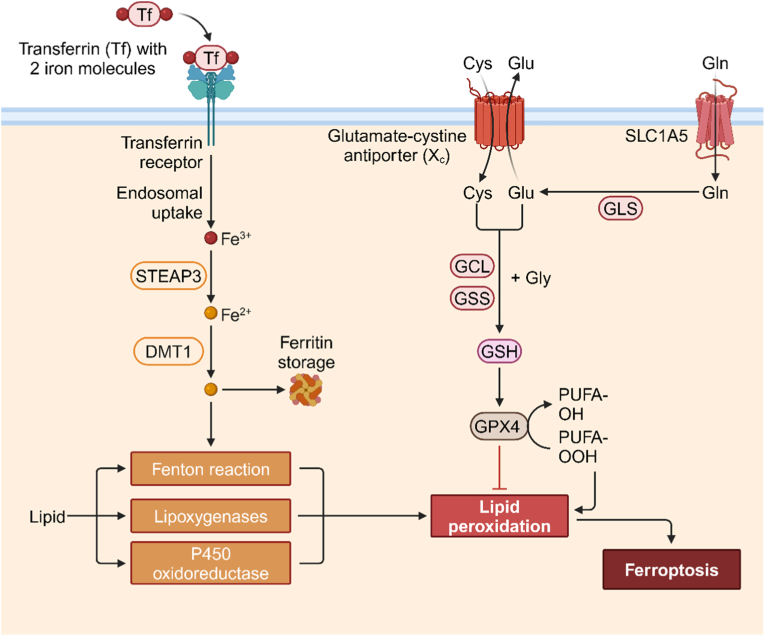 Figure 13