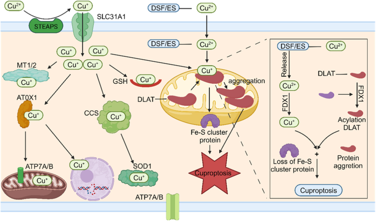 Figure 14
