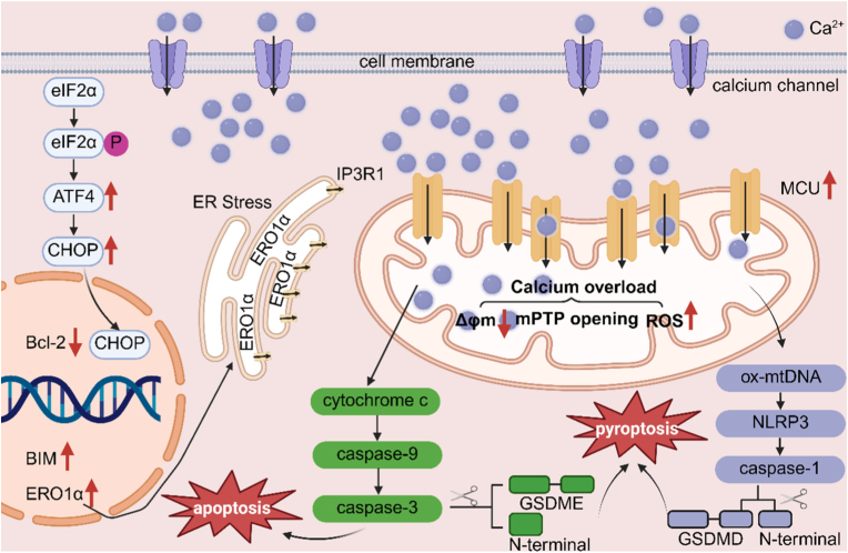 Figure 15